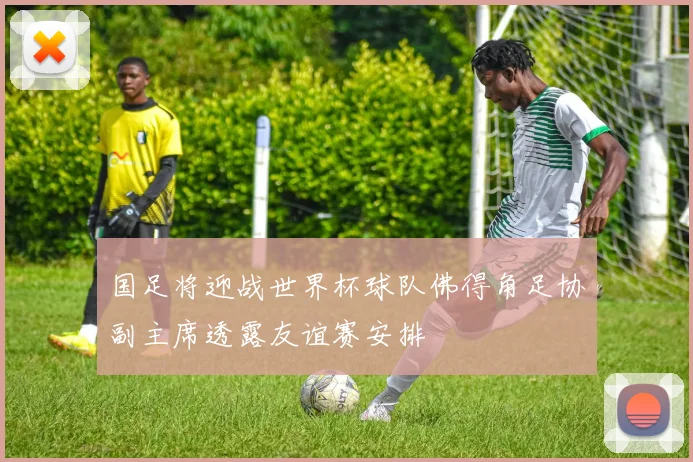 国足将迎战世界杯球队佛得角足协副主席透露友谊赛安排